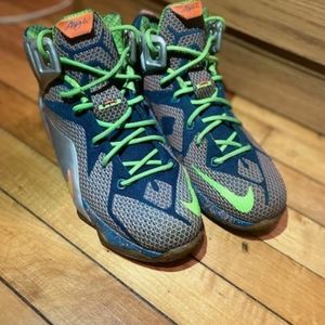 Nike LeBron 12 trillion dollar man